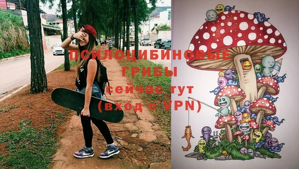 винт Балахна