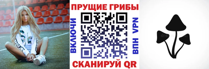 где купить наркотик  Верхняя Тура  Галлюциногенные грибы Magic Shrooms 